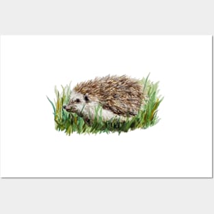 Hedgehog in the Grass Posters and Art